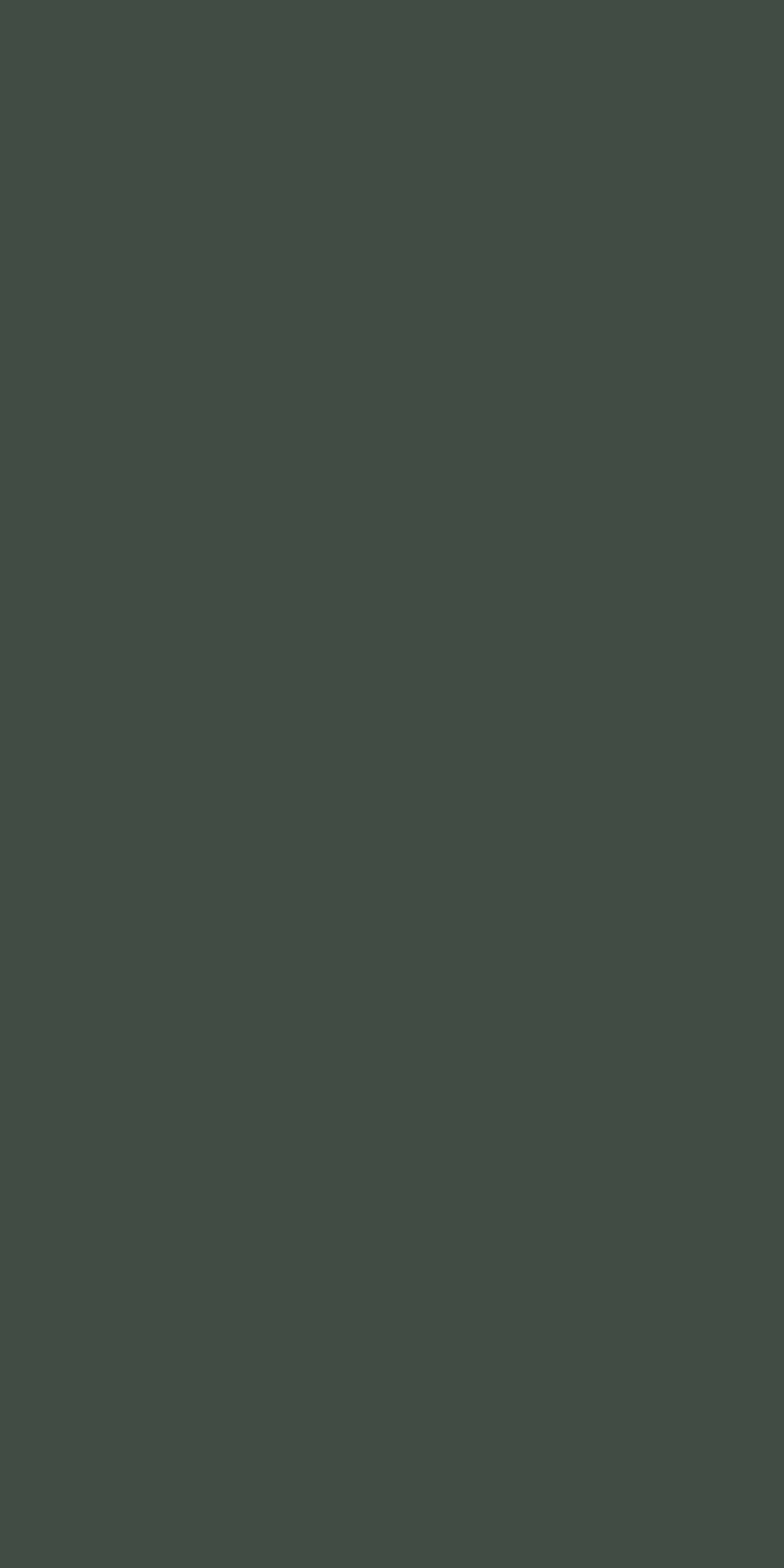 RC 3007 FINE SATIN 
